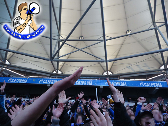 FC Schalke 04 vs TSG Hoffenheim (0-1) (13)