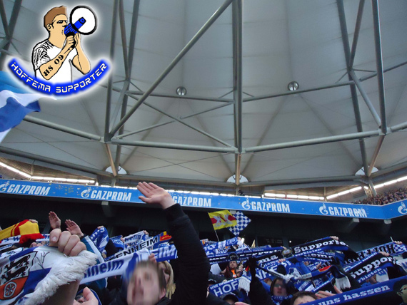 FC Schalke 04 vs TSG Hoffenheim (0-1) (19)
