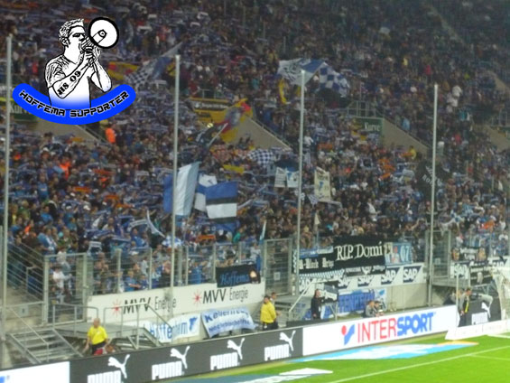 TSG Hoffenheim vs FC Schalke 04 (2-0) (1)