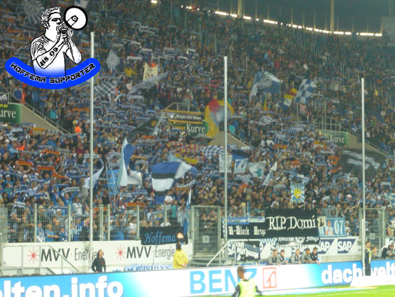 TSG Hoffenheim vs FC Schalke 04 (2-0) (2)