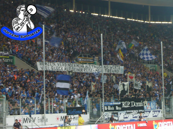 TSG Hoffenheim vs FC Schalke 04 (2-0) (4)