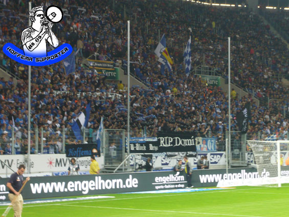 TSG Hoffenheim vs FC Schalke 04 (2-0) (5)