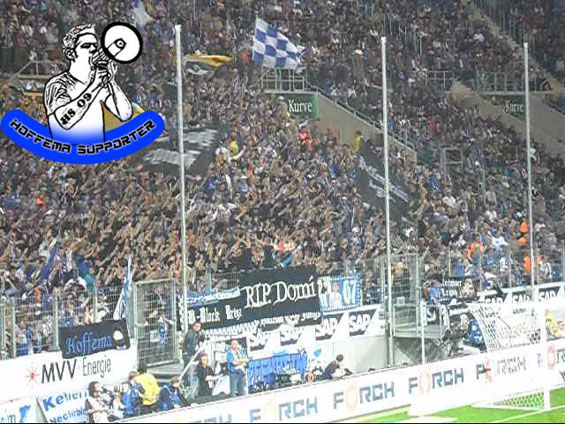 TSG Hoffenheim vs FC Schalke 04 (2-0) (6)