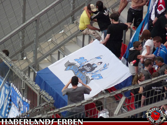 Bayer 04 Leverkusen vs TSG Hoffenheim (2-1) (2)