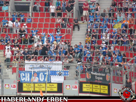 Bayer 04 Leverkusen vs TSG Hoffenheim (2-1) (4)
