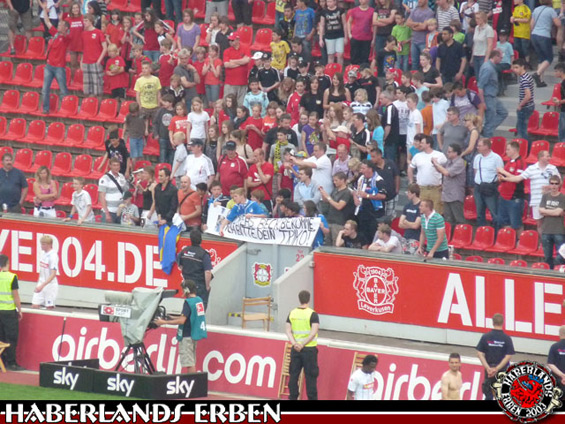 Bayer 04 Leverkusen vs TSG Hoffenheim (2-1) (6)