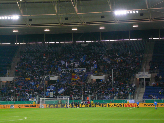 TSG Hoffenheim vs FC Ingolstadt 04 (1-0) (1)