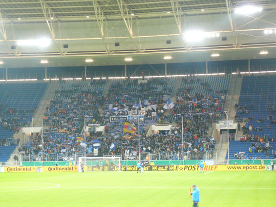 TSG Hoffenheim vs FC Ingolstadt 04 (1-0) (2)
