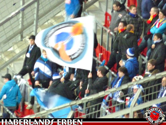 Bayer 04 Leverkusen vs TSG Hoffenheim (2-0) (2)