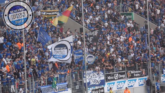 TSG Hoffenheim vs VfL Wolfsburg (3-1) (7)