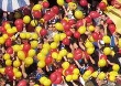 VfB Stuttgart vs TSG Hoffenheim (2-0)