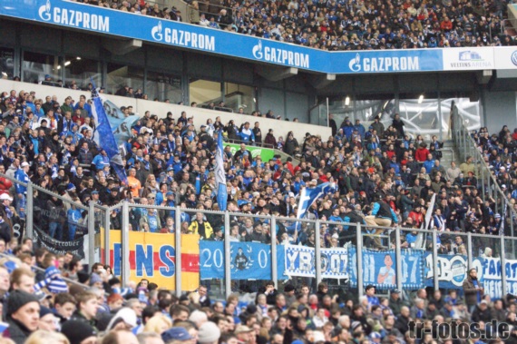 FC Schalke 04 vs TSG Hoffenheim (3-0)
