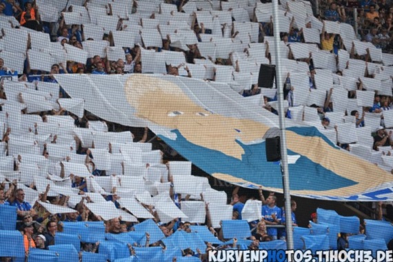 TSG Hoffenheim vs 1. FC Nürnberg (2-2) (6)