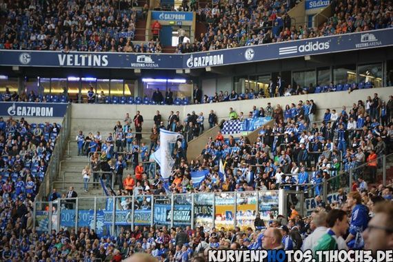 FC Schalke 04 vs TSG Hoffenheim (4-0) (1)