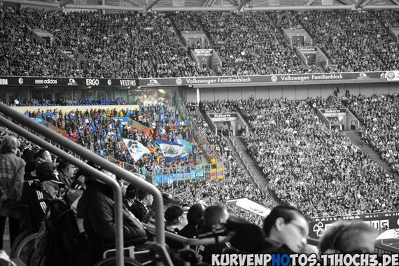 FC Schalke 04 vs TSG Hoffenheim (4-0) (5)