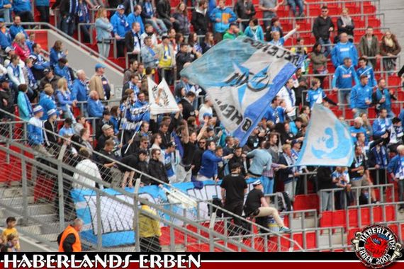 Bayer 04 Leverkusen vs TSG Hoffenheim (2-0) (5)