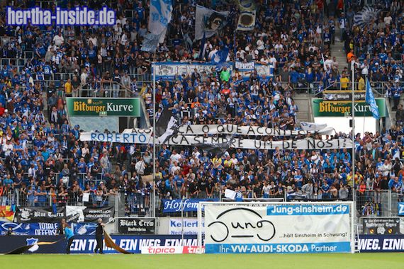 TSG Hoffenheim vs Hertha BSC (2-1) (8)