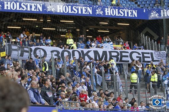 Hamburger SV vs TSG Hoffenheim (1-1) (1)