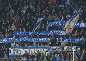 TSG Hoffenheim vs Hamburger SV (0-1)