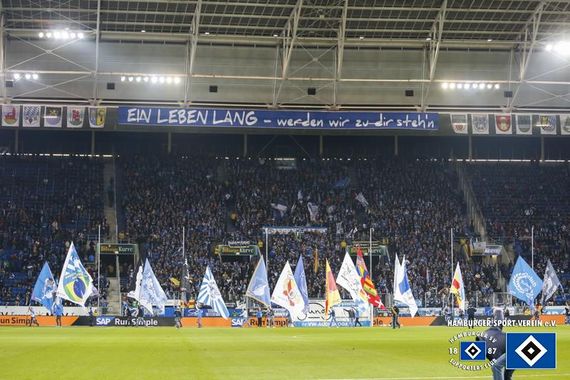 TSG Hoffenheim vs Hamburger SV (0-1) (2)