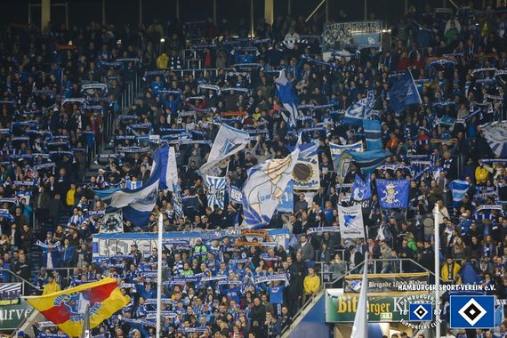 TSG Hoffenheim vs Hamburger SV (0-1) (3)