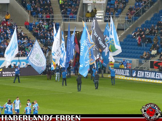 TSG Hoffenheim vs Bayer 04 Leverkusen (1-1) (2)