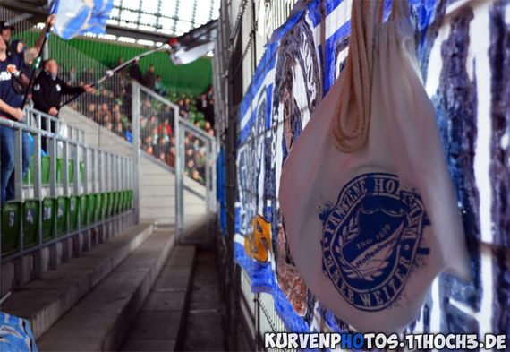 Werder Bremen vs TSG Hoffenheim (1-1) (6)