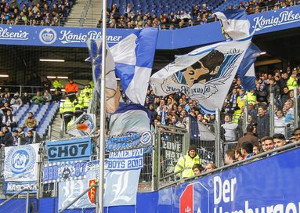 Hamburger SV vs TSG Hoffenheim (1-3)
