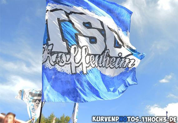 SV Darmstadt 98 vs TSG Hoffenheim (0-0) (4)