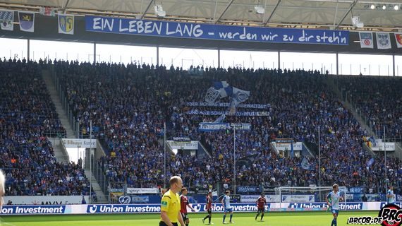 TSG Hoffenheim vs FC Ingolstadt 04 (2-1) (1)
