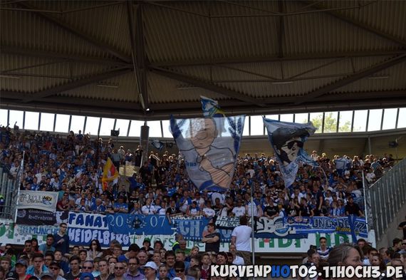 Hannover 96 vs TSG Hoffenheim (1-0) (9)