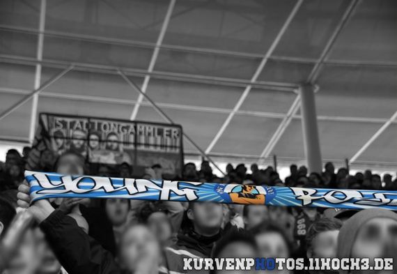TSG Hoffenheim vs SV Darmstadt 98 (2-0) (4)