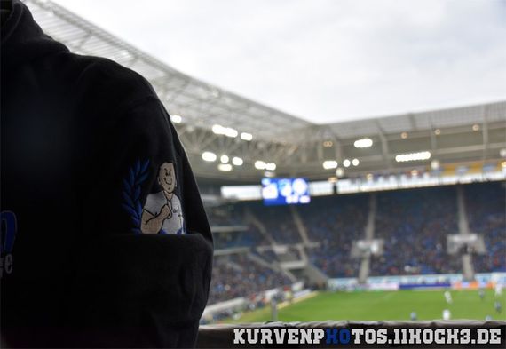 TSG Hoffenheim vs SV Darmstadt 98 (2-0) (6)