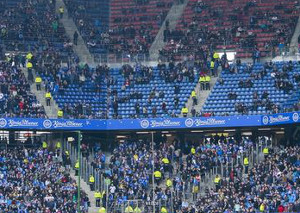 Hamburger SV vs TSG Hoffenheim (2-1)