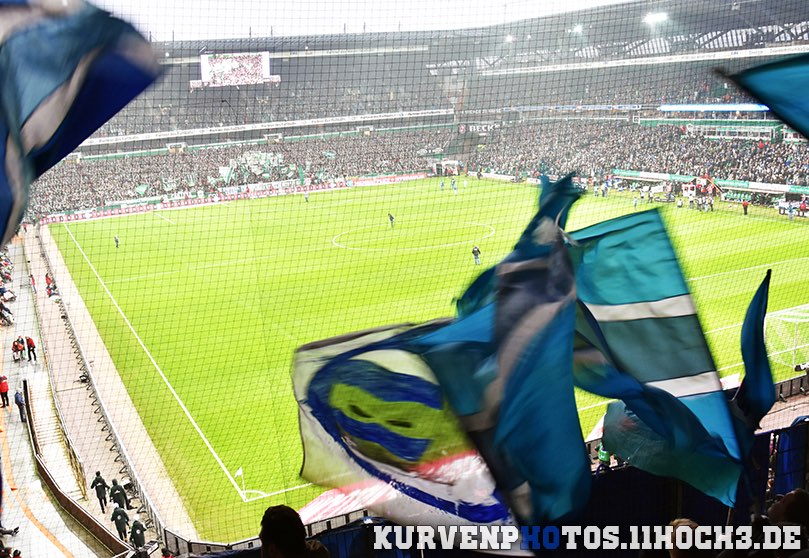Werder Bremen vs TSG Hoffenheim (1-1) (2)
