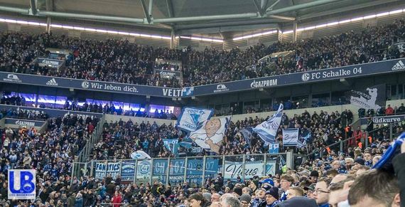 FC Schalke 04 vs TSG Hoffenheim (2-1) (4)