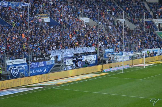 TSG Hoffenheim vs Hamburger SV (2-0) (1)