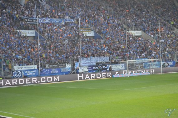 TSG Hoffenheim vs Hamburger SV (2-0) (2)