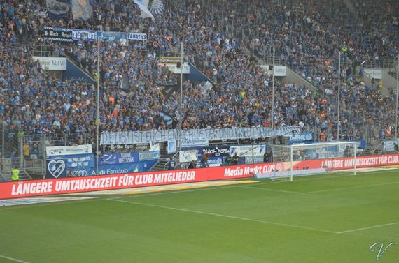 TSG Hoffenheim vs Hamburger SV (2-0) (6)