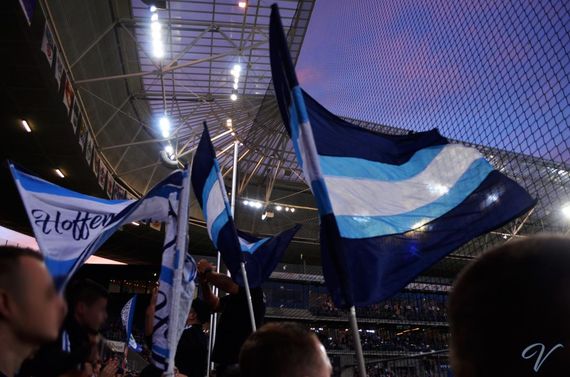 TSG Hoffenheim vs Hannover 96 (3-1) (6)