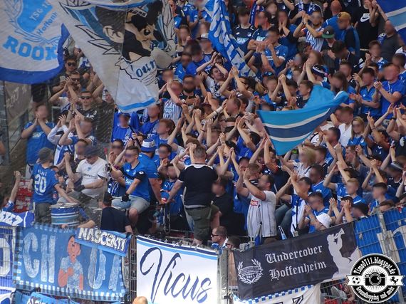 VfB Stuttgart vs TSG Hoffenheim (2-0) (2)