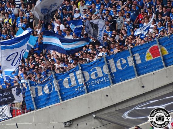 VfB Stuttgart vs TSG Hoffenheim (2-0) (5)