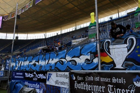 TSG Hoffenheim vs Borussia Dortmund (3-1) (10)