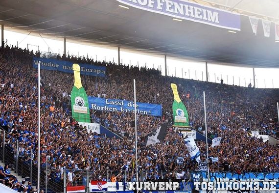 TSG Hoffenheim vs Borussia Dortmund (3-1) (30)