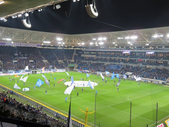 TSG Hoffenheim vs FC Schalke 04 (1-1) (5)