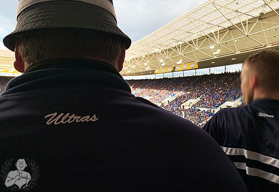 TSG Hoffenheim vs 1. FC Nürnberg (2-1) (4)