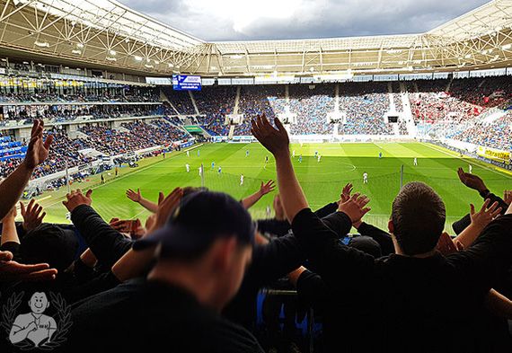 TSG Hoffenheim vs 1. FC Nürnberg (2-1) (8)