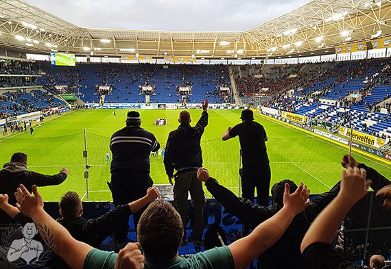 TSG Hoffenheim vs 1. FC Nürnberg (2-1) (10)