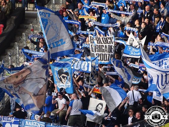 VfB Stuttgart vs TSG Hoffenheim (1-1) (5)