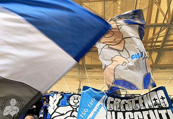 TSG Hoffenheim vs Hertha BSC (2-0) (11)